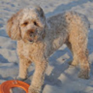 Meet your Posher, Zachary